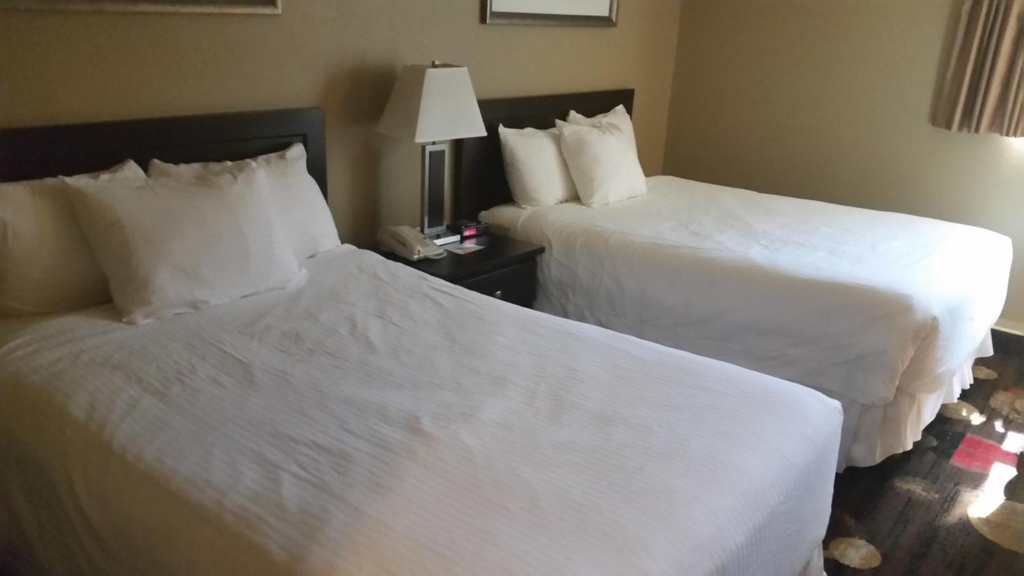 Stonebridge Hotel Fort Mcmurray Habitación foto